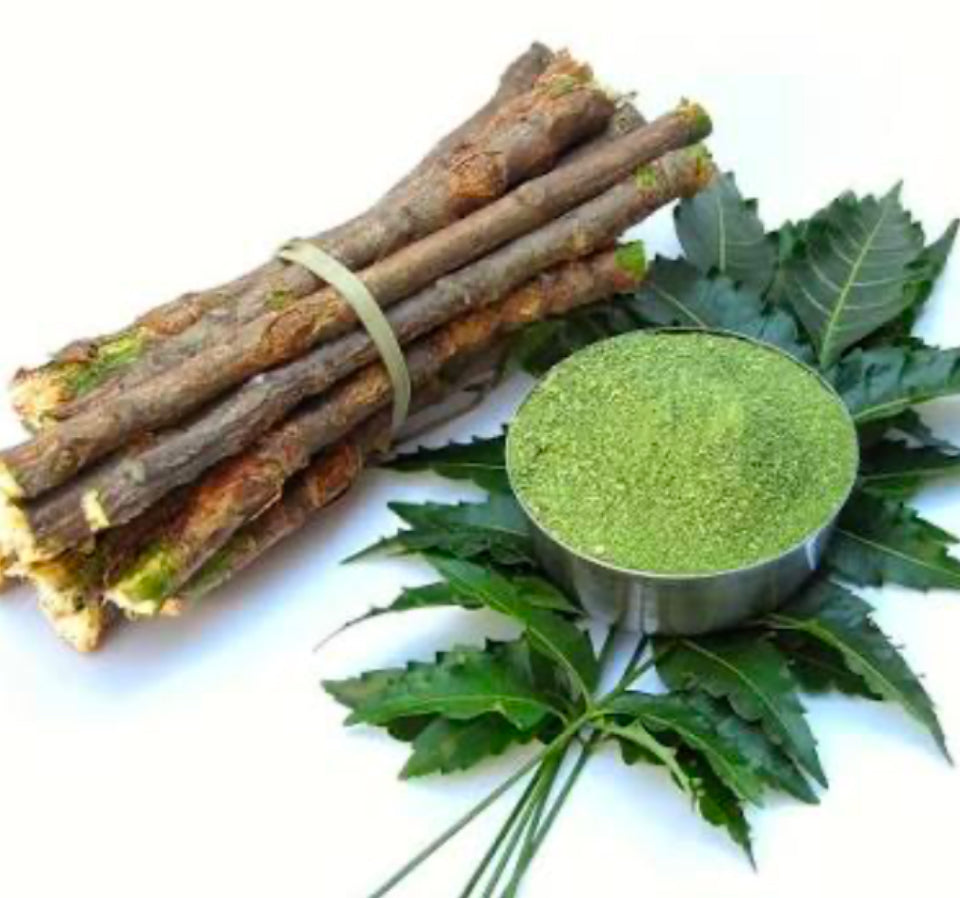 Neem: An Ancient Healer
