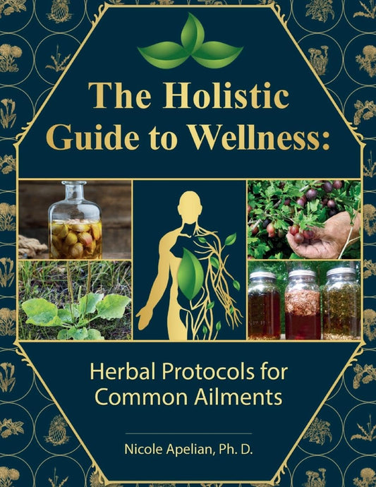 The Holistic Guide to wellness